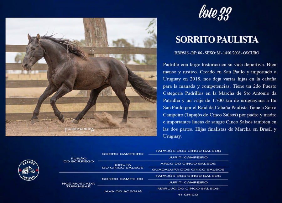 Lote Sorrito Paulista