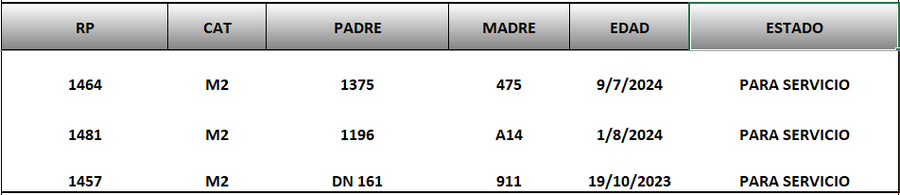 Lote LOTE 75