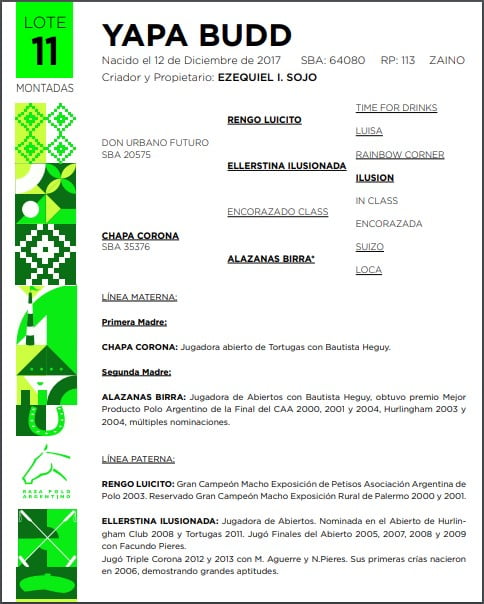 Lote YAPA BUDD(DON URBANO FUTURO-CHAPA CORONA)