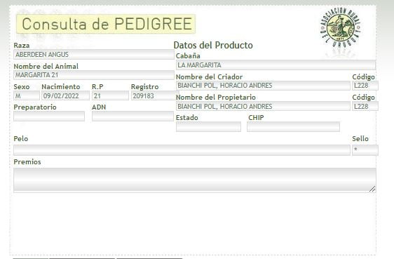 Lote TORO PI - RP 21