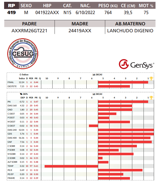 Lote LOTE 28