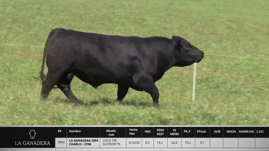Lote LA GANADERA 3094 CHARLO - 2706