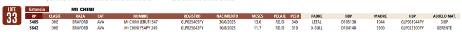 Lote LOTE 33