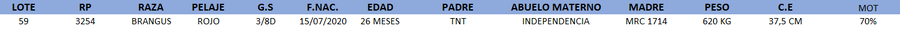 Lote LOTE 59