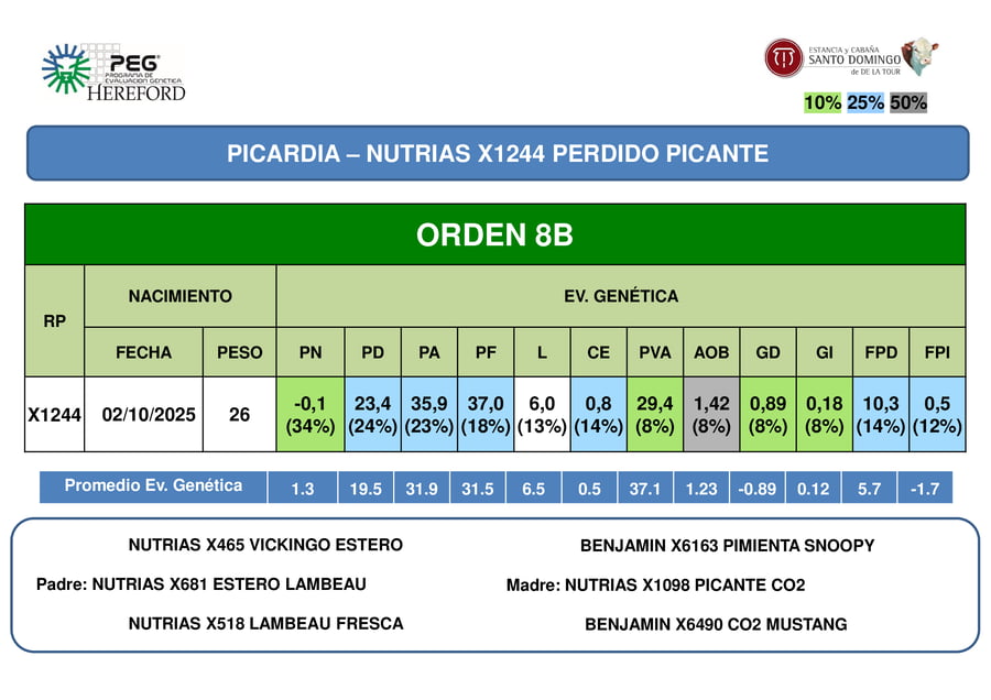 Lote ORDEN 8 TERNERAS PP