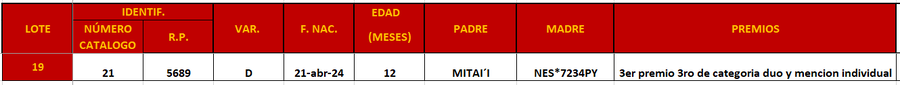 Lote LOTE 19