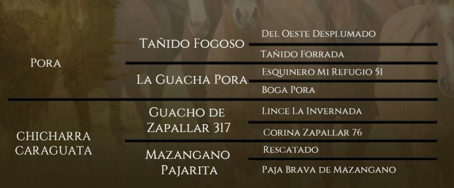 Lote Santa Gloria Chiribi