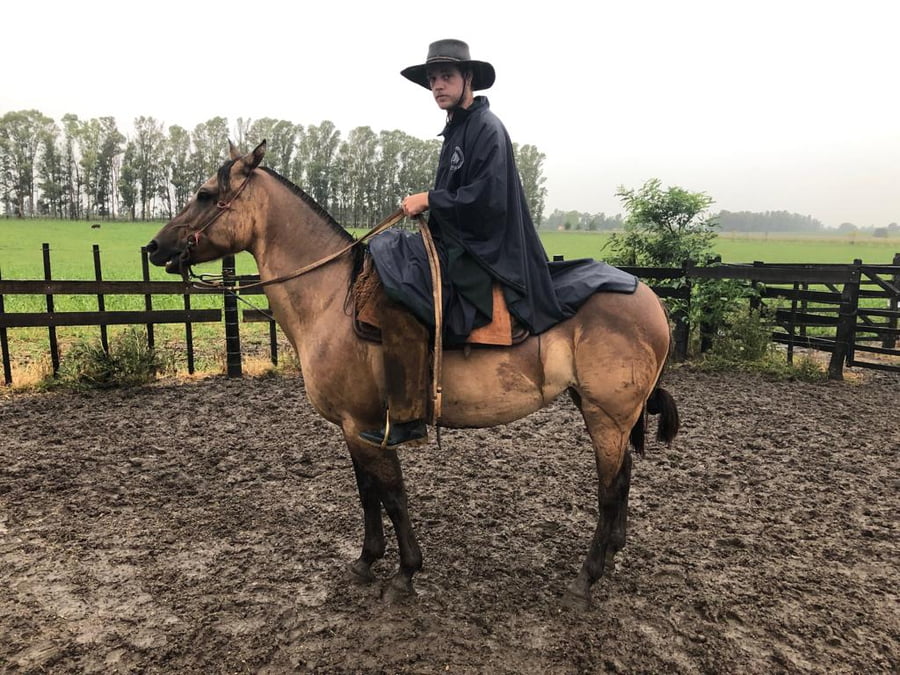 Lote LECHUZA ESCONDIDA