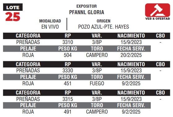 Lote LOTE 25- EN VIVO