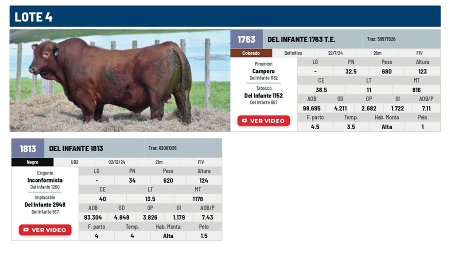 Lote Lote 4