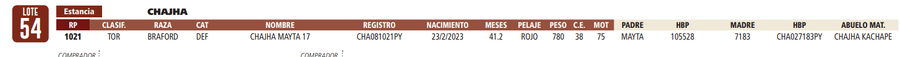 Lote LOTE 54