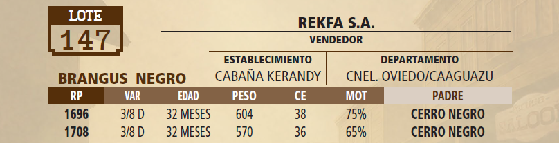 Lote LOTE 147 - VIVO