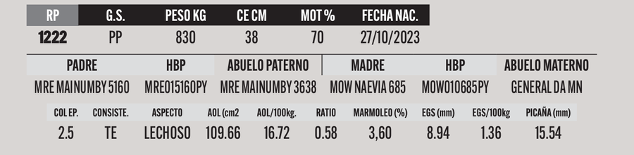 Lote LOTE 32