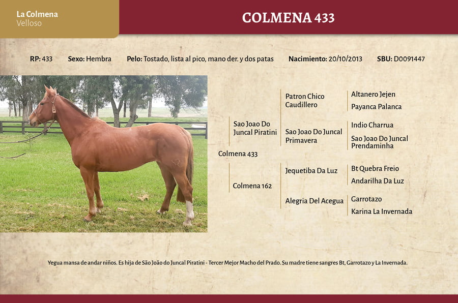 Lote Colmena 433 (RP 433) - Cabaña La Colmena