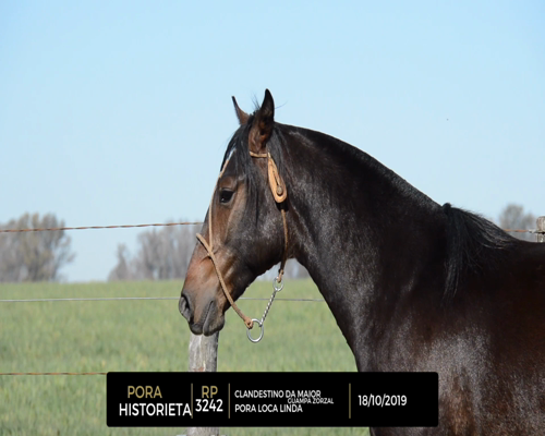 Lote PORA HISTORIETA