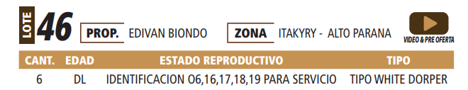 Lote LOTE 46 -POR PANTALLA