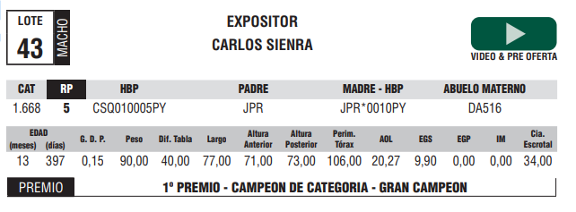 Lote LOTE 43