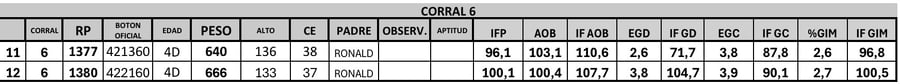Lote 2 Toros PC