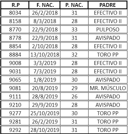 Lote VAQ. A. ANGUS NEGRAS P. CONTROLADAS C/GTÍA DE PREÑEZ
