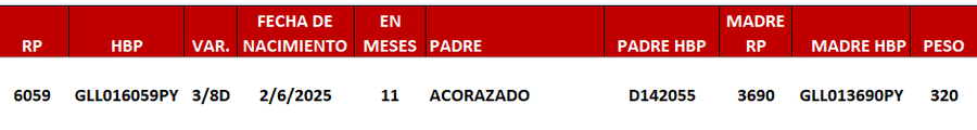 Lote LOTE 15 -DE JUNIOR