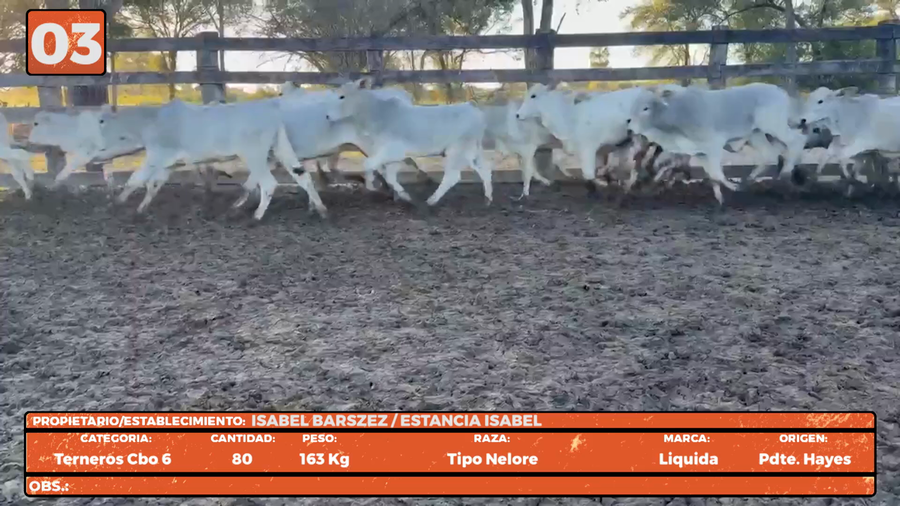 Lote LOTE 3
