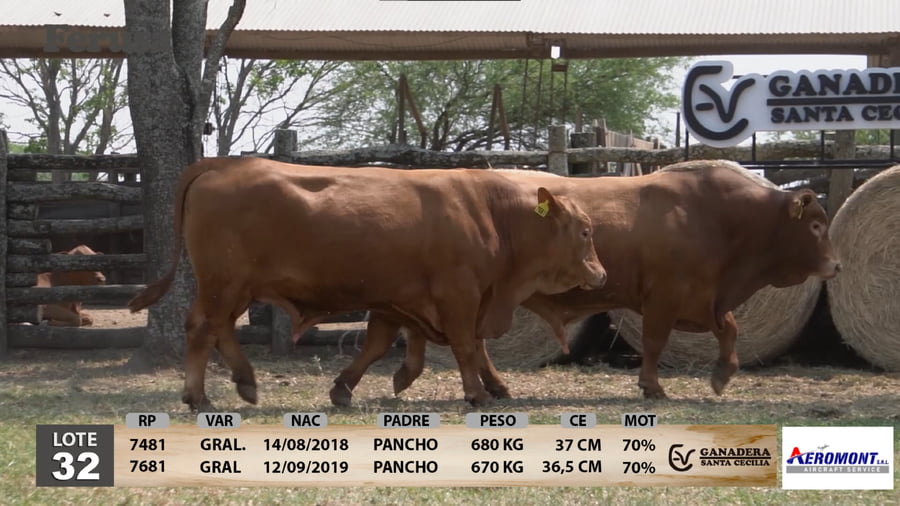 Lote Ganadera Santa Cecilia - Lote 32