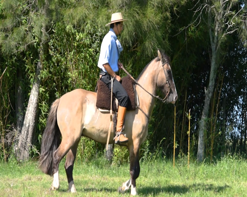Lote El Gavilán Misionero (RP 415) Cabaña "El Gavilán"