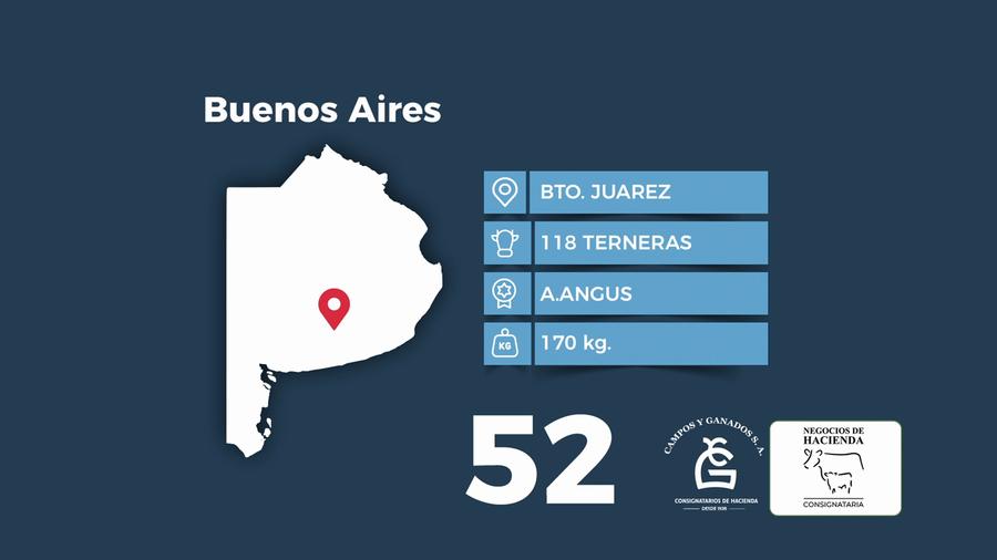 Lote 118 Terneras en Buenos Aires, Benito Juárez