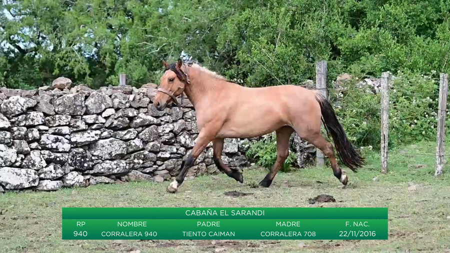 Lote Corralera 940