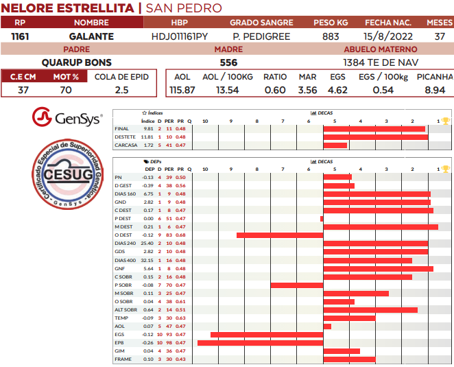 Lote LOTE 71
