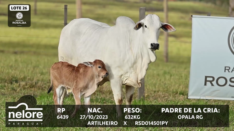 Lote LOTE 26