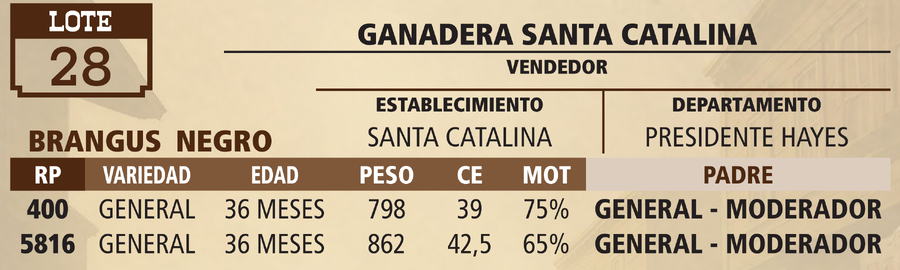 Lote LOTE 28 - PANTALLA