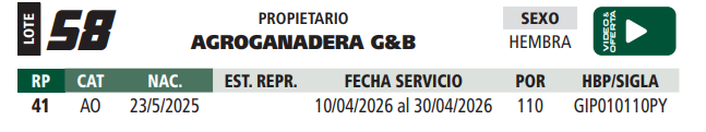 Lote LOTE 58