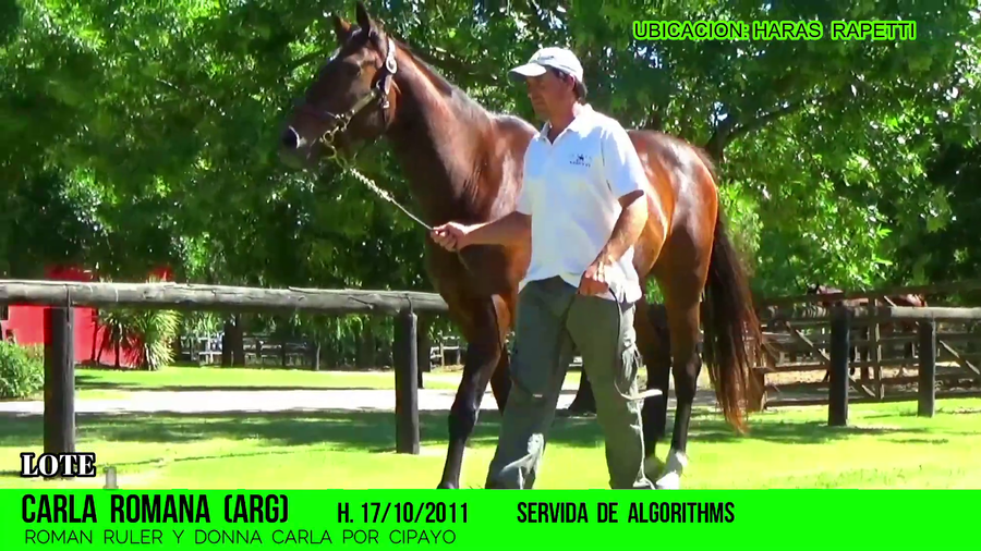 Lote CARLA ROMANA