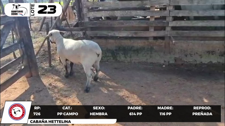 Lote LOTE 23- CAMPO