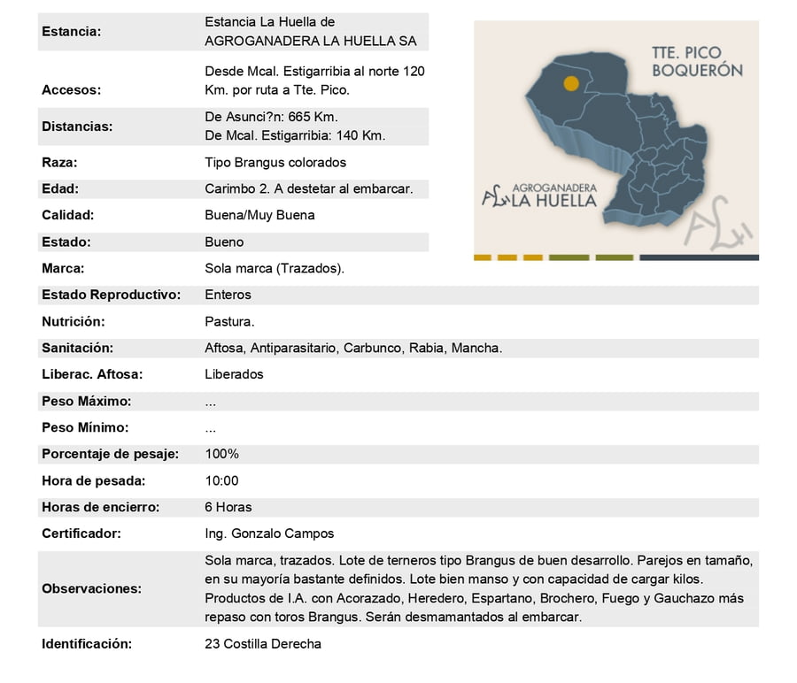 Lote Lote 20