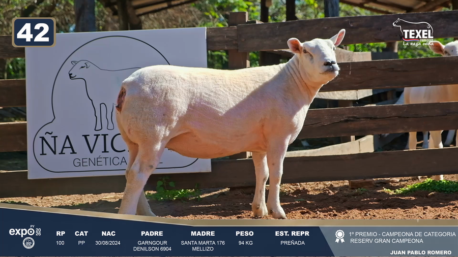 Lote LOTE 42- SALE A VENTA EL 50%