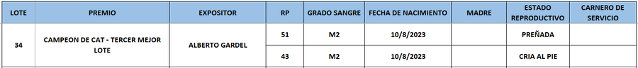 Lote LOTE 34