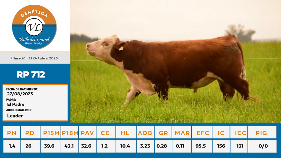 Lote RP 712 - Valle del Laurel