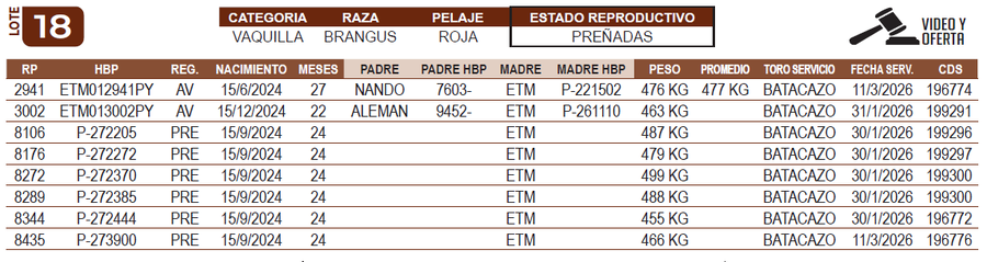 Lote LOTE 18