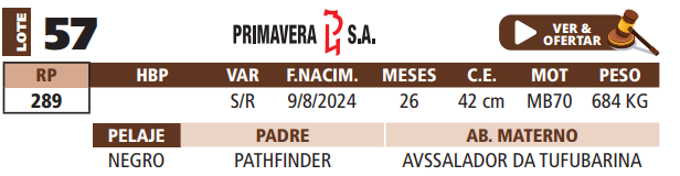 Lote LOTE 57