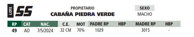 Lote LOTE 55