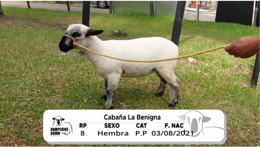 Lote LOTE 14 BOZAL - RP 8