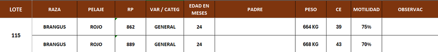 Lote LOTE 115