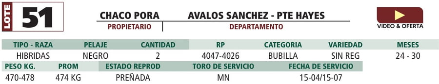 Lote LOTE 51