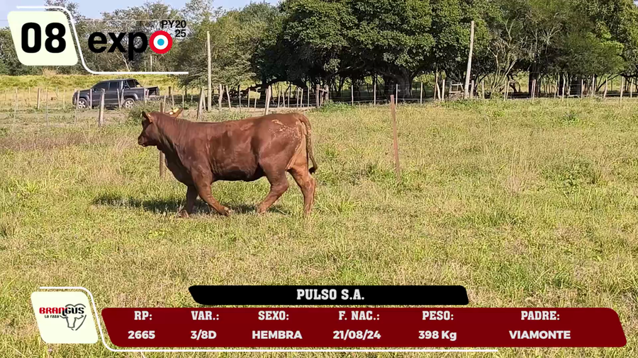 Lote LOTE 8