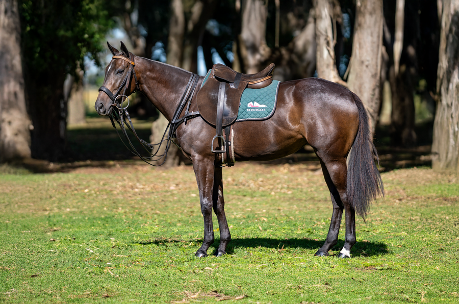 Lote DON ERCOLE TAIARAPU