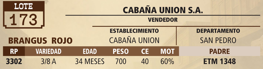 Lote LOTE 173 - PANTALLA