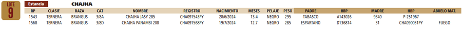 Lote LOTE 9