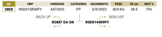 Lote LOTE 75